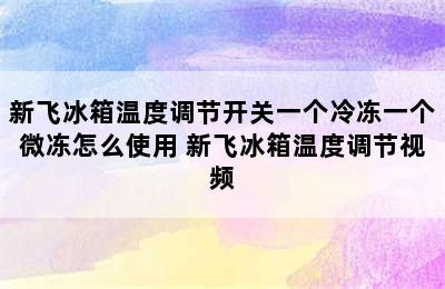 新飞冰箱温度调节开关一个冷冻一个微冻怎么使用 新飞冰箱温度调节视频